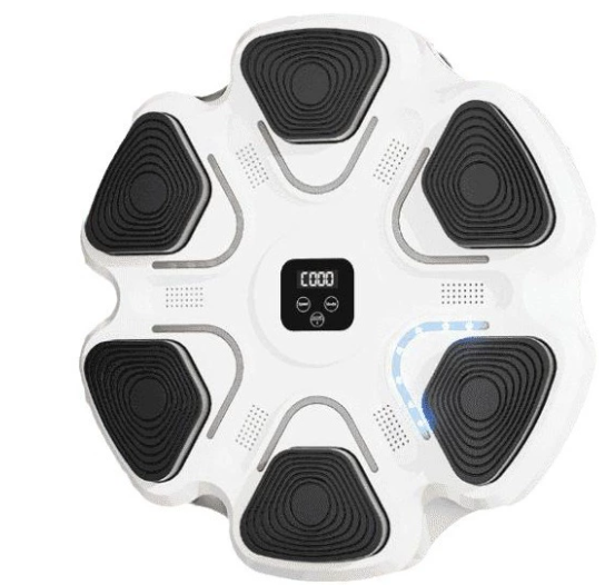 New Intelligent Machine Home Trainng Boxing